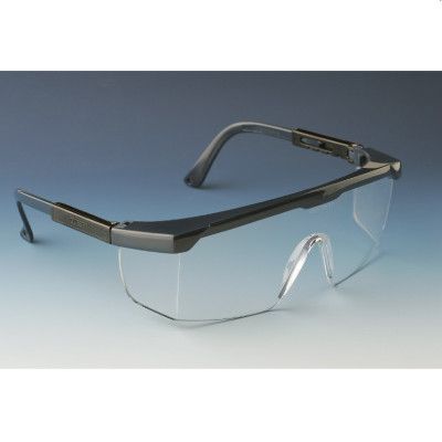 IN12 Schutzbrille (Hornissen)-1550656420573